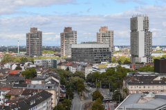 080922_219331